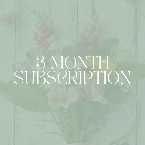 3 Month Subscription