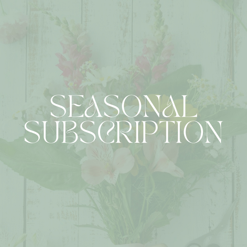 Seasonal Subscription